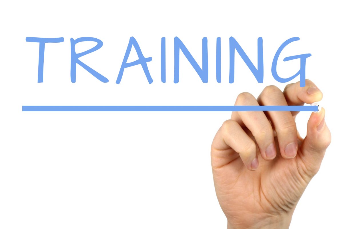 THE BUSINESS OF TRAINING AND HOW TO TAKE YOUR TRAINING SKILLS TO THE TOP AND BE PAID HANDSOMELY